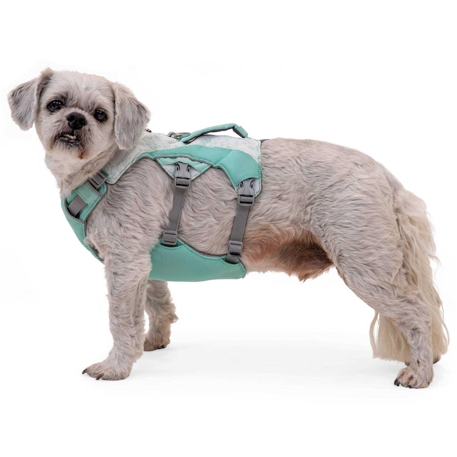 Ruffwear Swamp Cooler Dog Harness - Pet Supplies online store