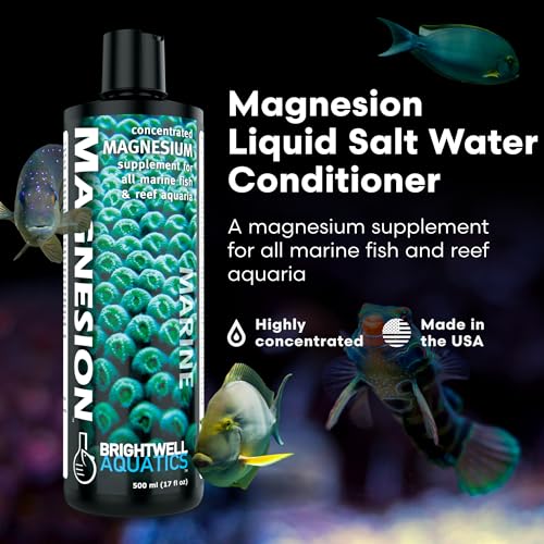 Brightwell Aquatics Magnesion Liquid Salt Water Conditioner - Concentrated Magnesium Supplement for Reef and Marine Aquariums, 33.8 fl oz