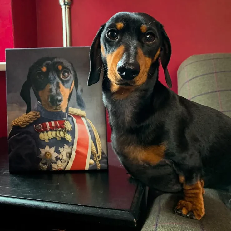 A dachshund beside its custom military portrait