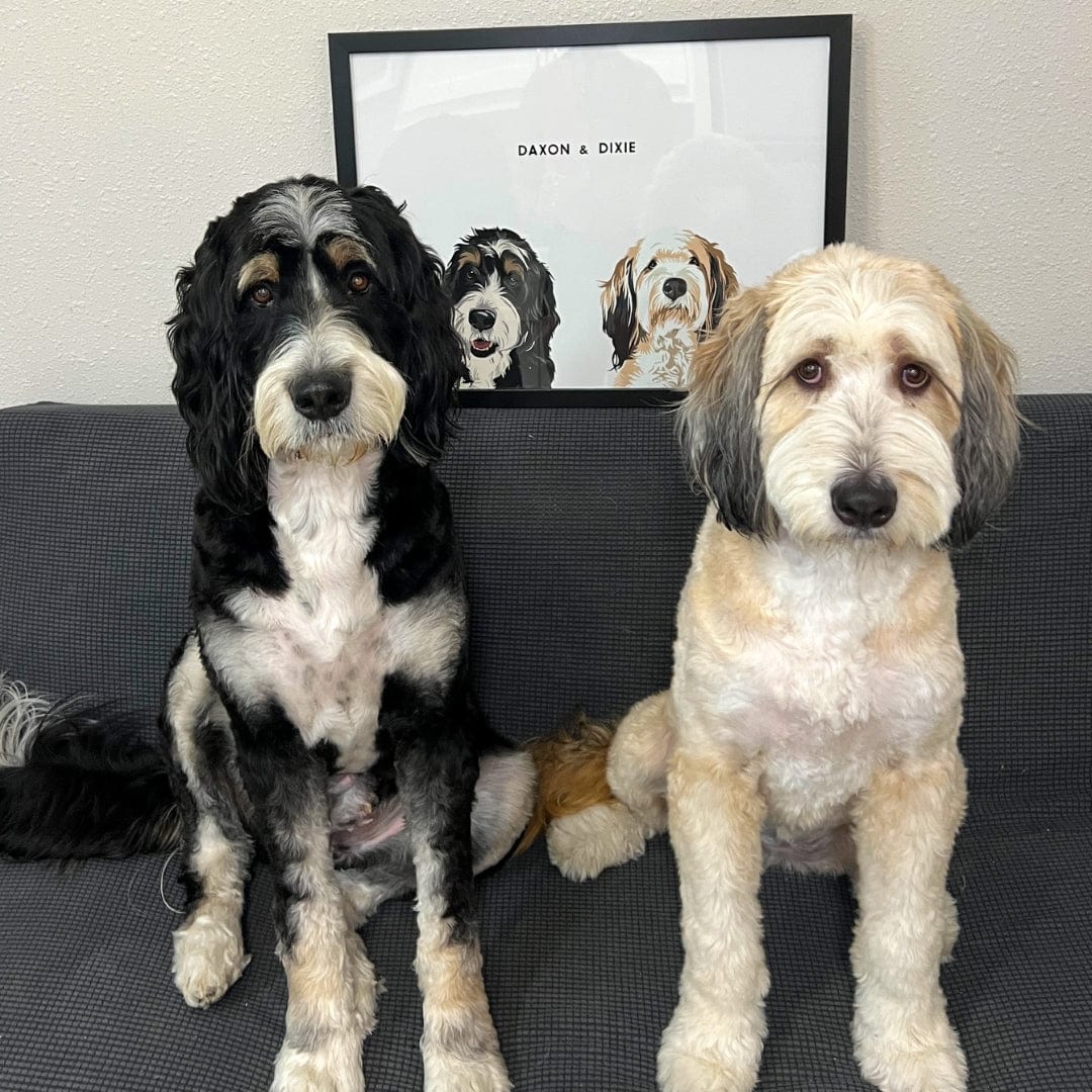 Modern Pet Portrait-Two Pets