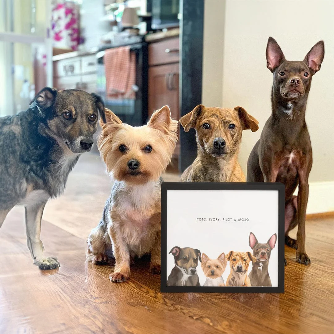 Modern Pet Portrait-Four Pets