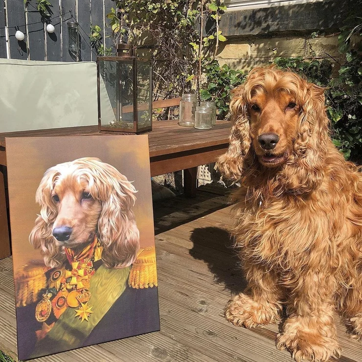 A spaniel beside its custom royal portrait