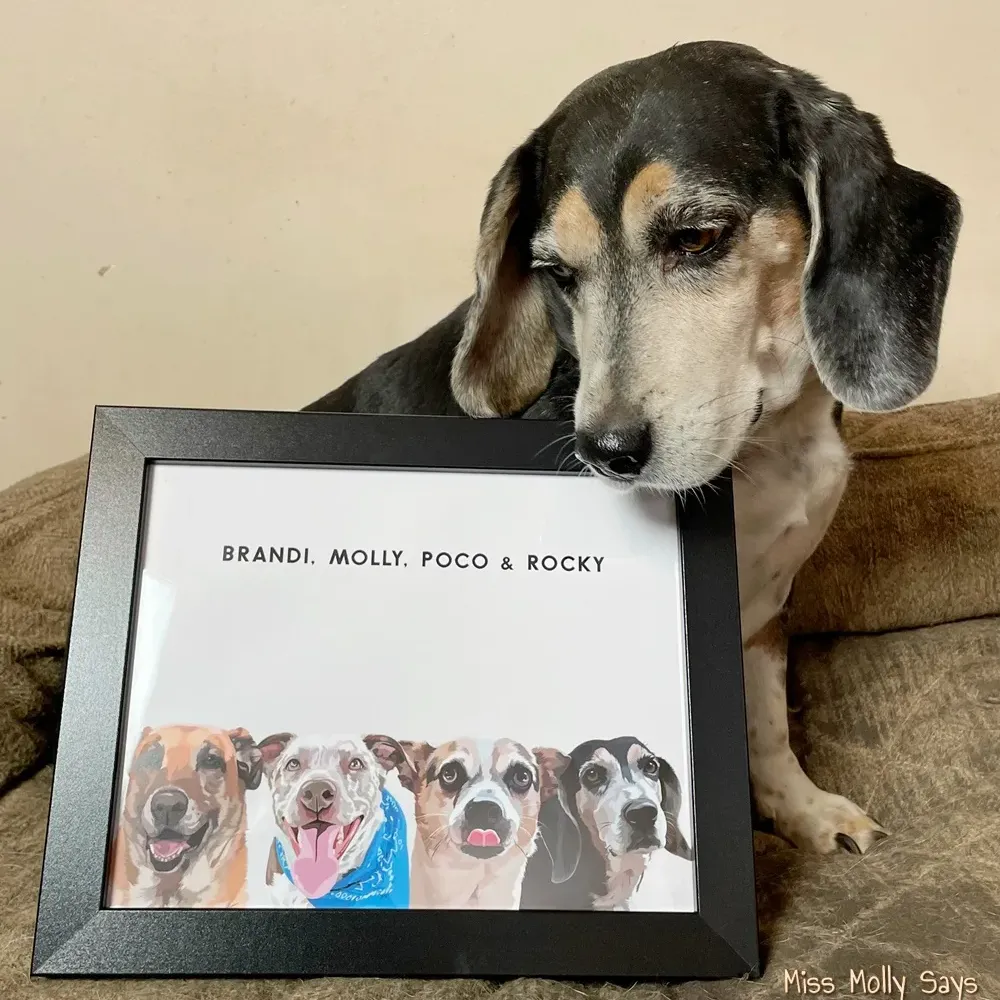 Modern Pet Portrait-Four Pets