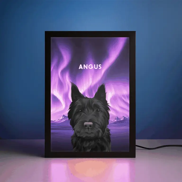 [Copy]Modern Pet Portrait
