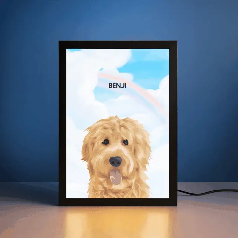 [Copy]Modern Pet Portrait