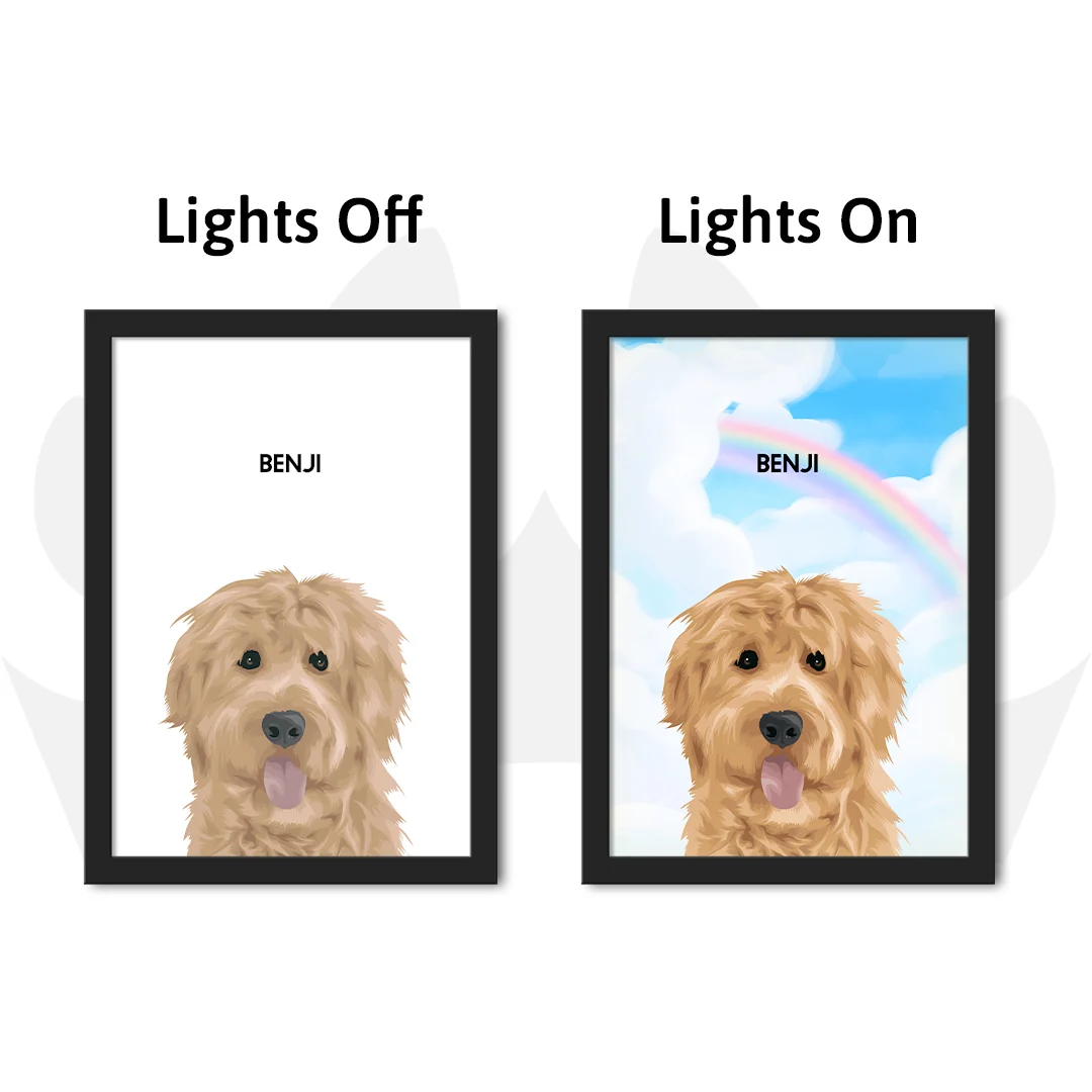 [Copy]Modern Pet Portrait