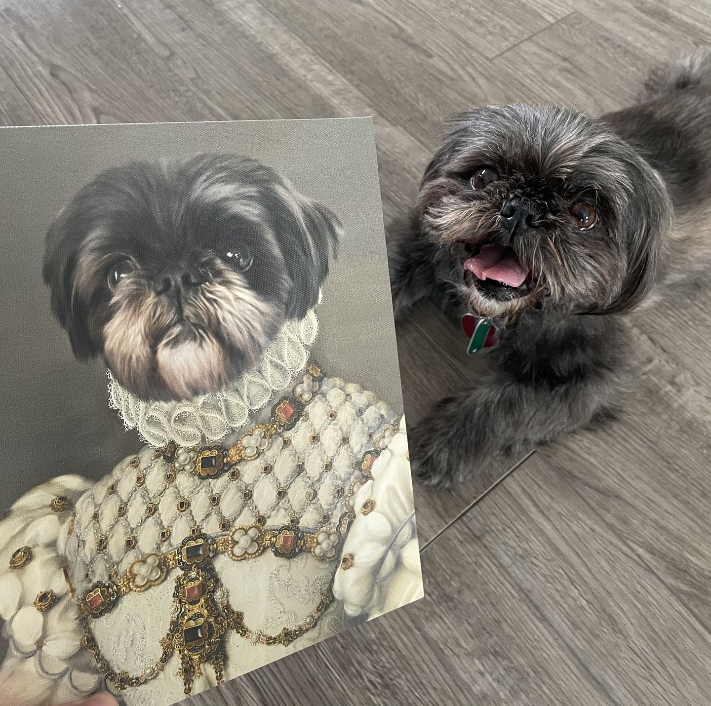 The Princess-Custom Pet Canvas