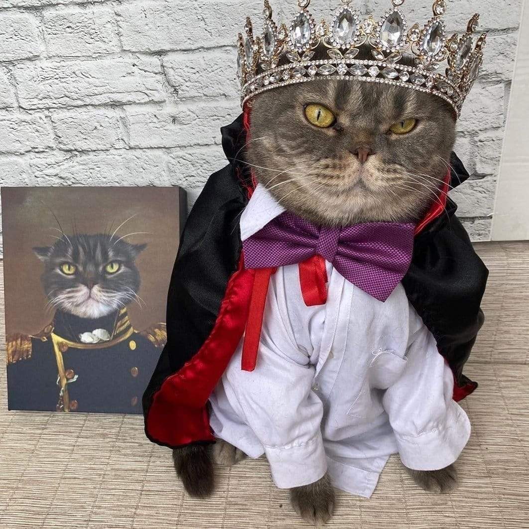 [Copy]The General-Custom Pet Canvas