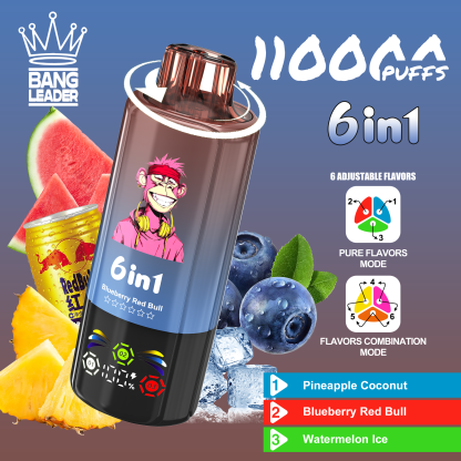 BANG LEGEND 110000 Puffs 6 in1 Flavor Disposable Vape