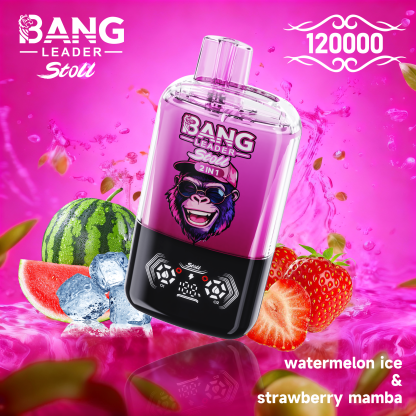 BANG LEGEND 120000 Puffs 2 in1 Flavor Disposable Vape