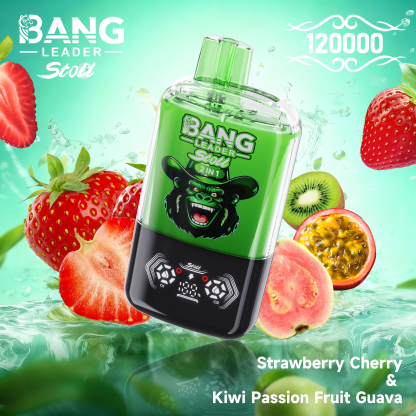BANG LEGEND 120000 Puffs 2 in1 Flavor Disposable Vape
