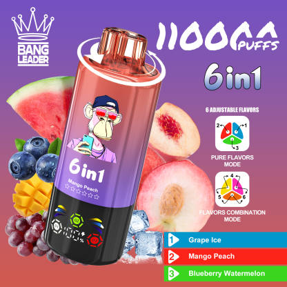 BANG LEGEND 110000 Puffs 6 in1 Flavor Disposable Vape