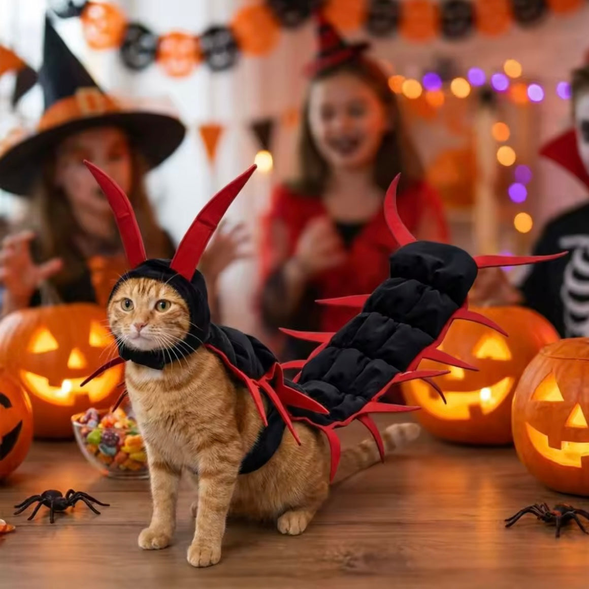 2026 - Viral Halloween Cat Costume [SELLING FAST]