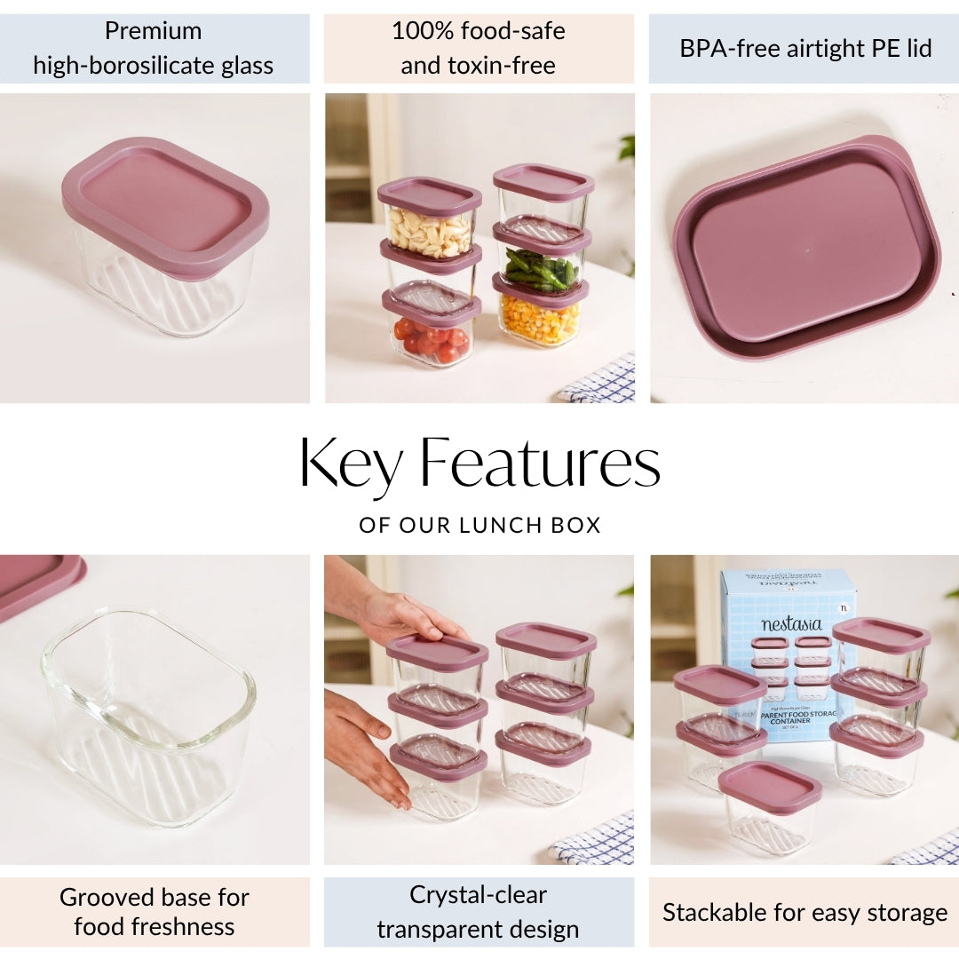 Food Storage Container Set Of 6 310ml
