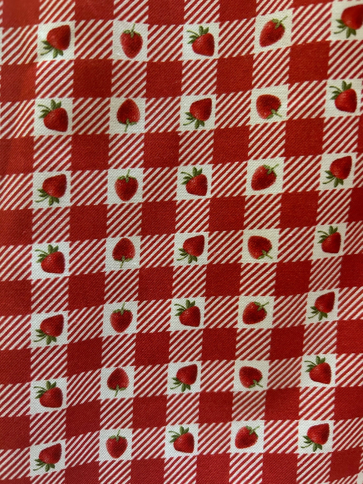 Strawberry Gingham Collared Dress | Retrolicious-Tactilefable