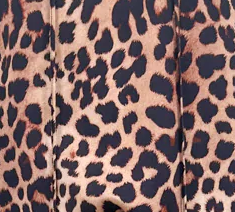 Women's Leopard Print V Neck Blouse, Tie Tassel Lantern Long Sleeve Casual Shirt-Tactilefable