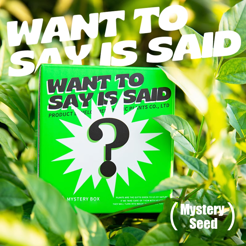 🌱 Mystery Seed - Surprise Box