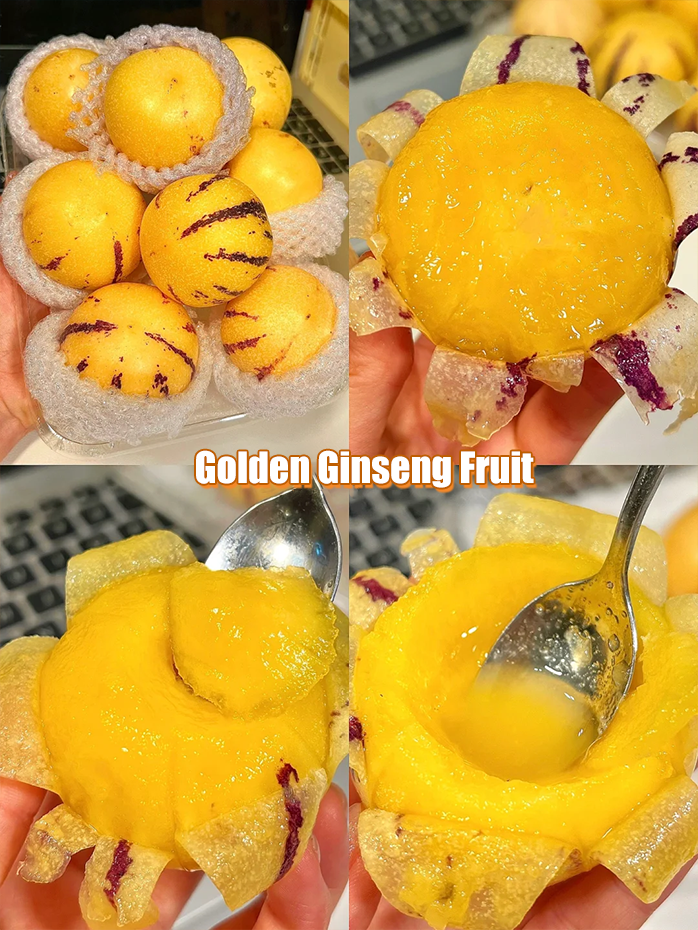 ✨️Rare ginseng fruit seeds🥭Rich in vitamins and minerals!