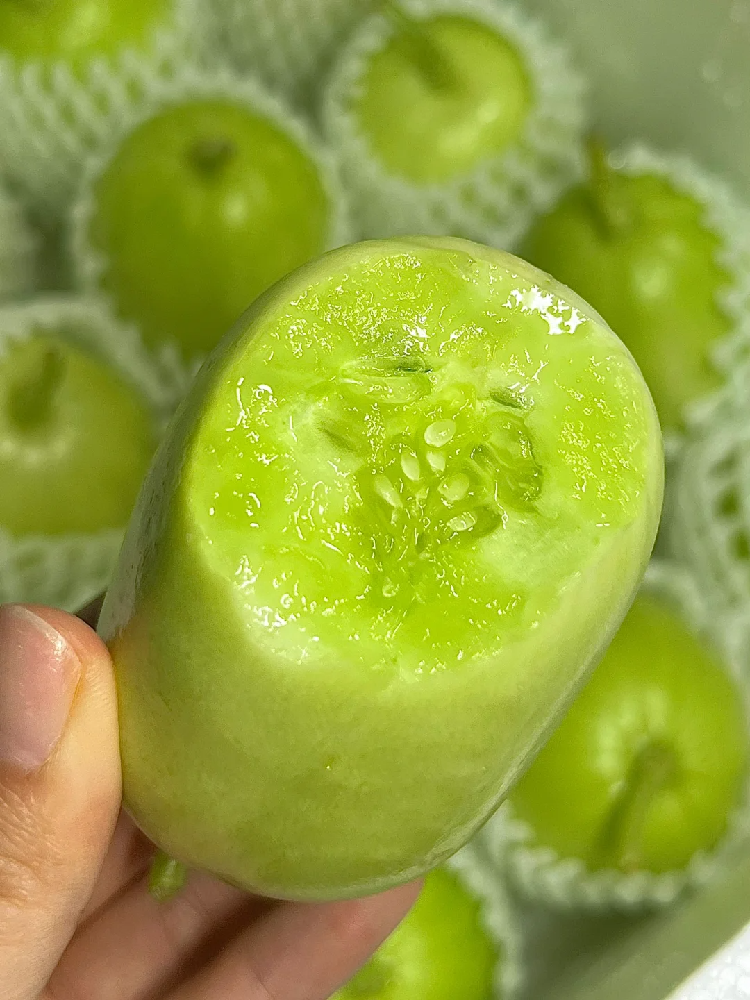 Jade Lady cucumber
