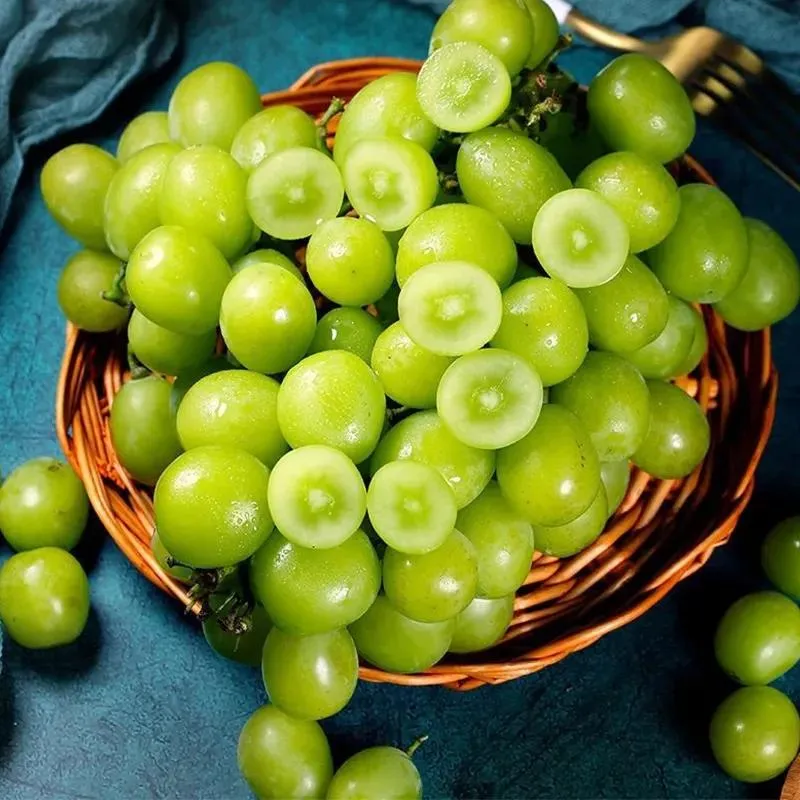 Samen des Riesen-Weinstocks: Dünnhäutig, groß und kernlos 🍇🌿