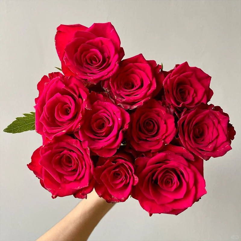 Rosen Samen
