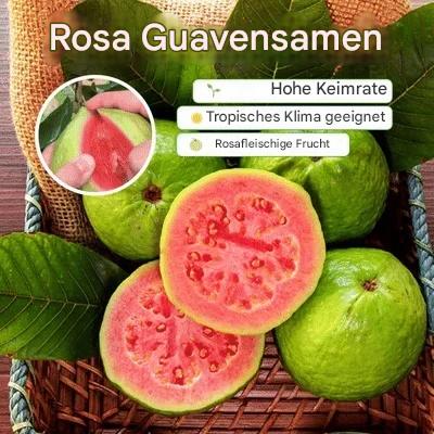 🔥 (Neue Ernte) Bio-Guavensamen (rosa) | 🌿Vorbehandelt für hohe Keimfähigkeit (99 % Keimung)