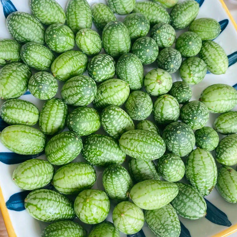 Zwergmelone