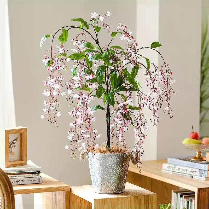 🔥 Must-Have für den Garten 2024 🌾 Mehrjähriger Trauerjasmin Samen