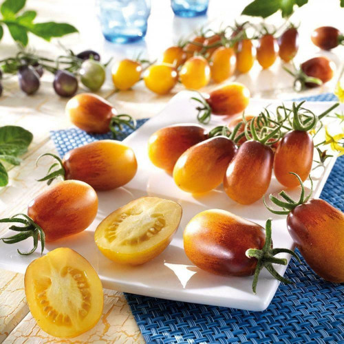 SCHWARZE EDELSTEINTOMATE DER ZUCKERBOMBE