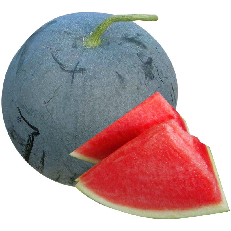Black Diamond Wassermelone Samen