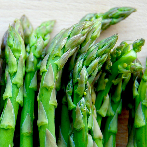 ASPARAGUS MARY WASHINGTON VEGETABLE SEEDS-FOUR SEASONS