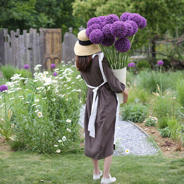 Allium giganteum, Zierlauchblüte