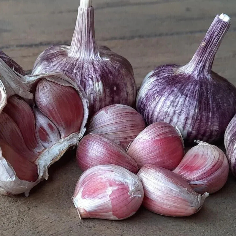 🧄Lila Knoblauch: Gesunde Zwiebeln ohne GVO