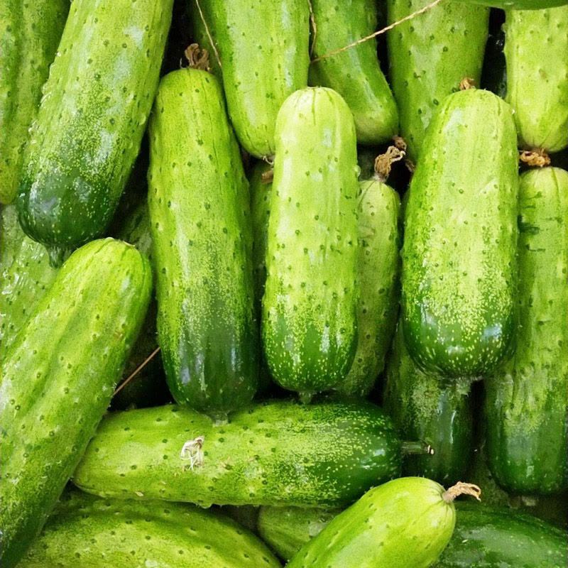 🥒Crawling Cucumbers Seeds