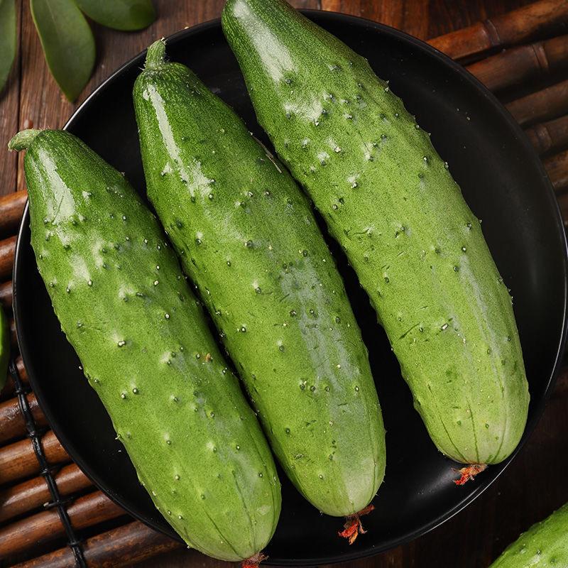 🥒Crawling Cucumbers Seeds