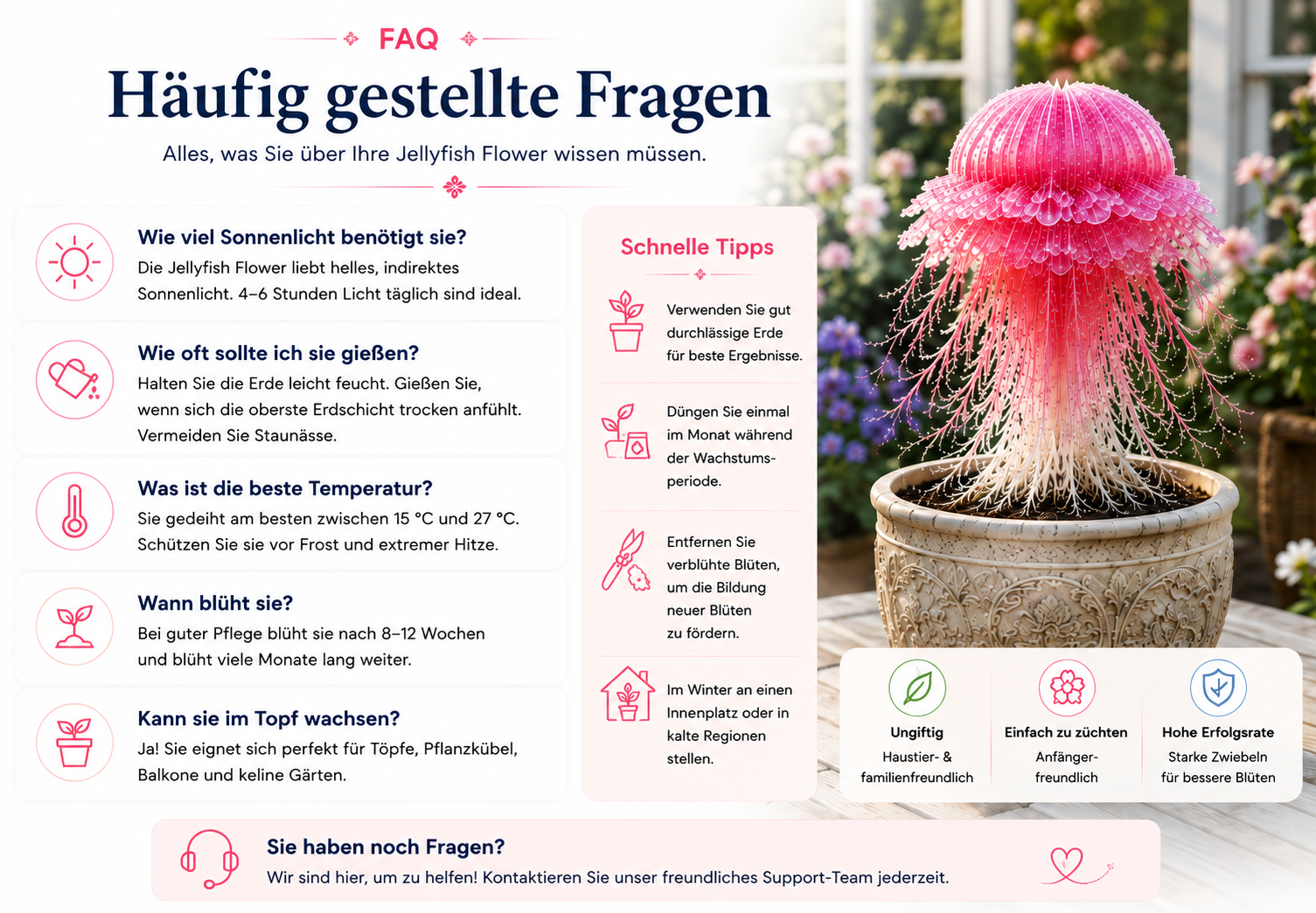 🔥🔥🔥🪼 Seltene Quallenblumenzwiebeln – Die Blume, die aussieht, als würde sie über Ihrem Garten schweben