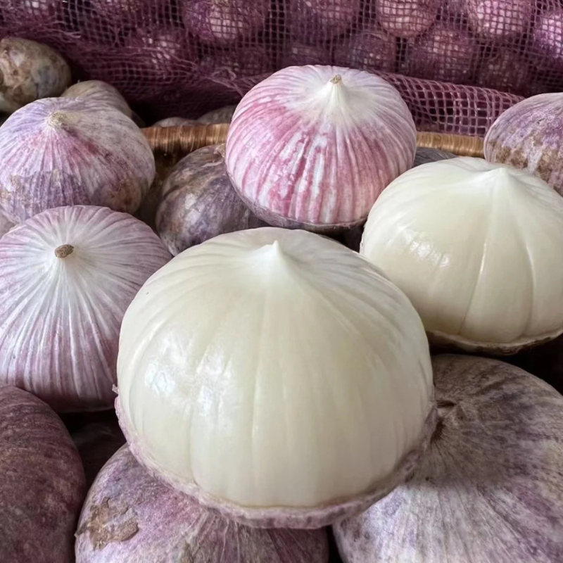 🧄Lila Knoblauch: Gesunde Zwiebeln ohne GVO
