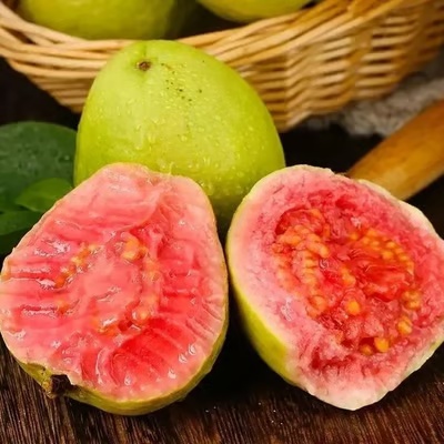 🔥 (New Harvest) Organic Pink Guava Seeds | 🌿Pre-Primed for High Germination (99% Germination)