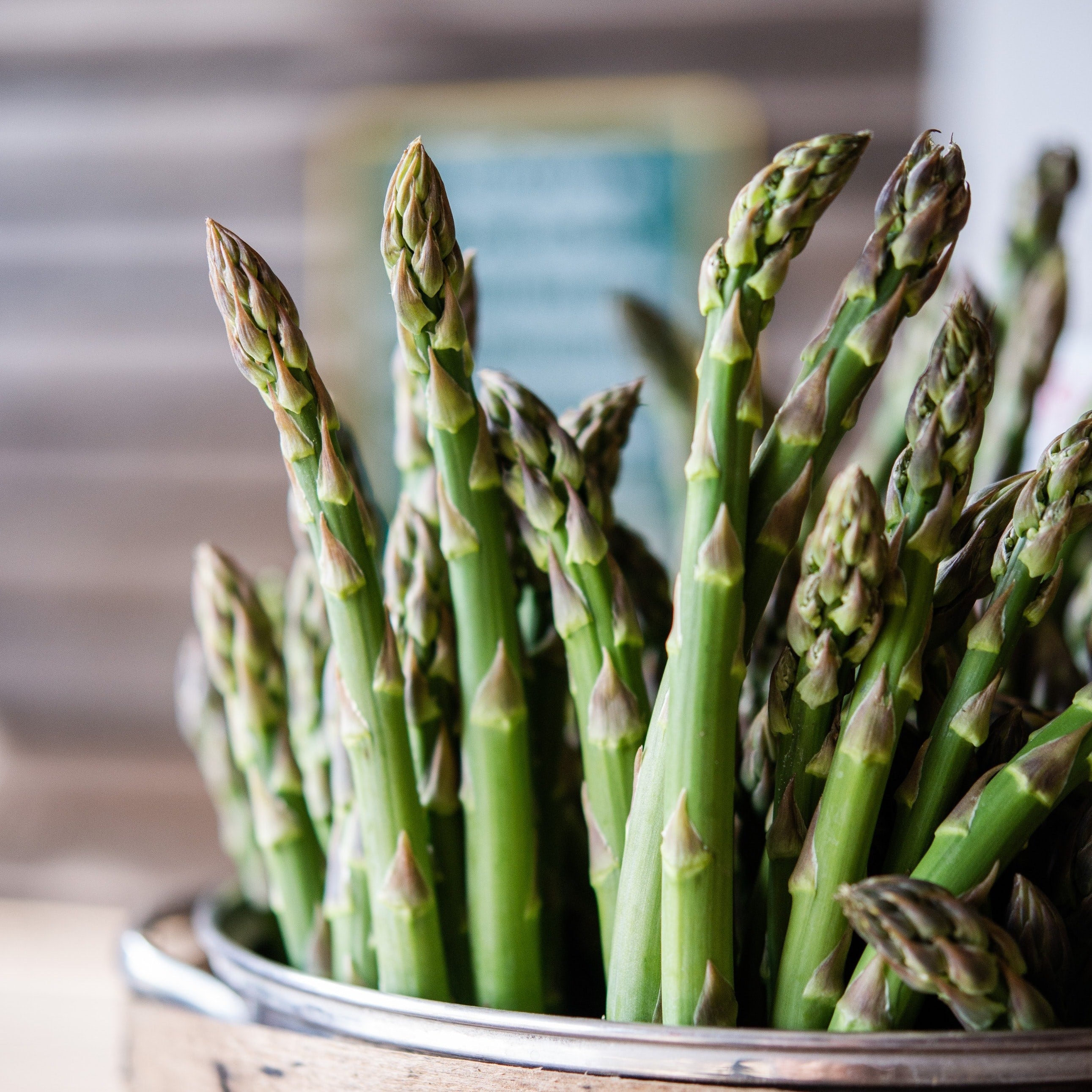 ASPARAGUS MARY WASHINGTON VEGETABLE SEEDS-FOUR SEASONS