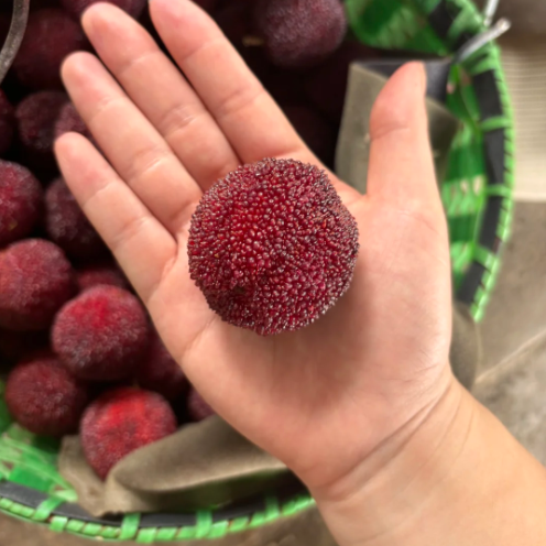 Giant Bayberry: Ping-Pong Ball Size, ⭐Strawberry-Cherry Fusion Flavor