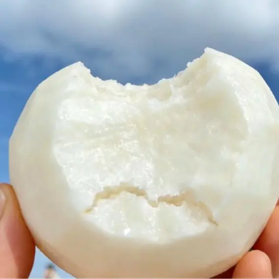 🌱 Baue deine eigene Jicama an – knusprig, süß & nährstoffreiches Supergemüse