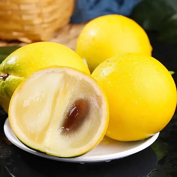 Goldene Fruchtsamen-Abiu Fruit-Pouteria Caimito