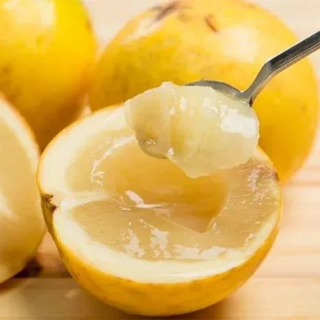 Goldene Fruchtsamen-Abiu Fruit-Pouteria Caimito