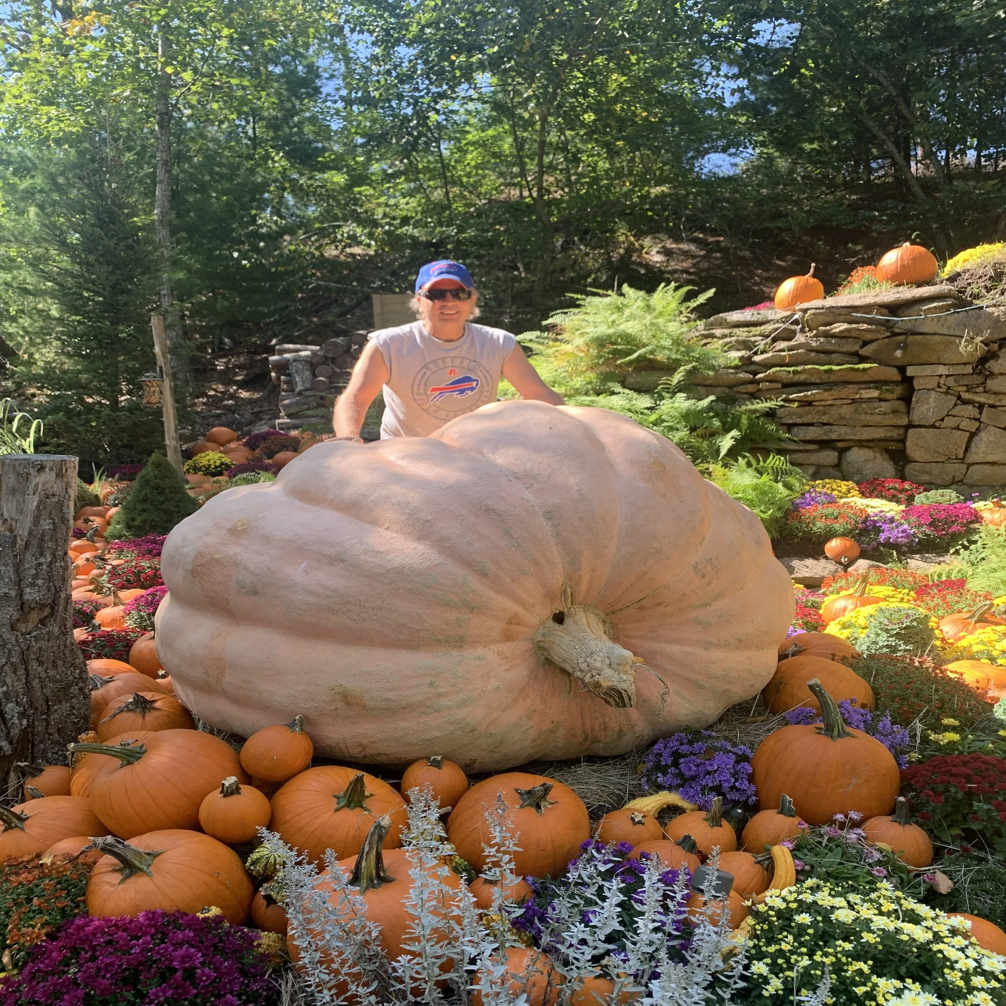 Giant Pumpkin Seeds