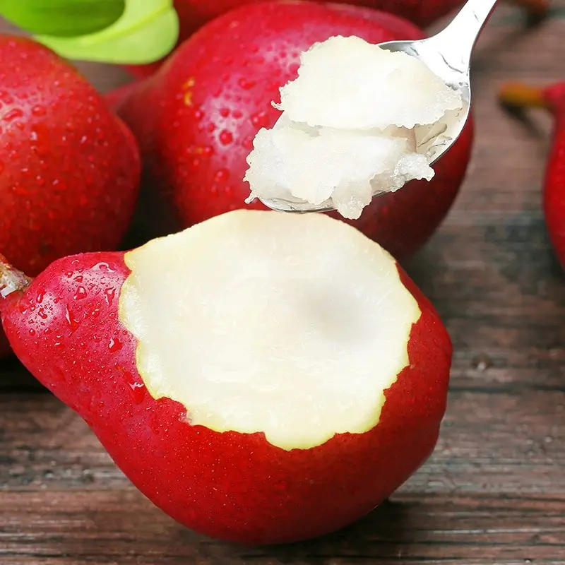 🍐Red Anjou Pear 🍐