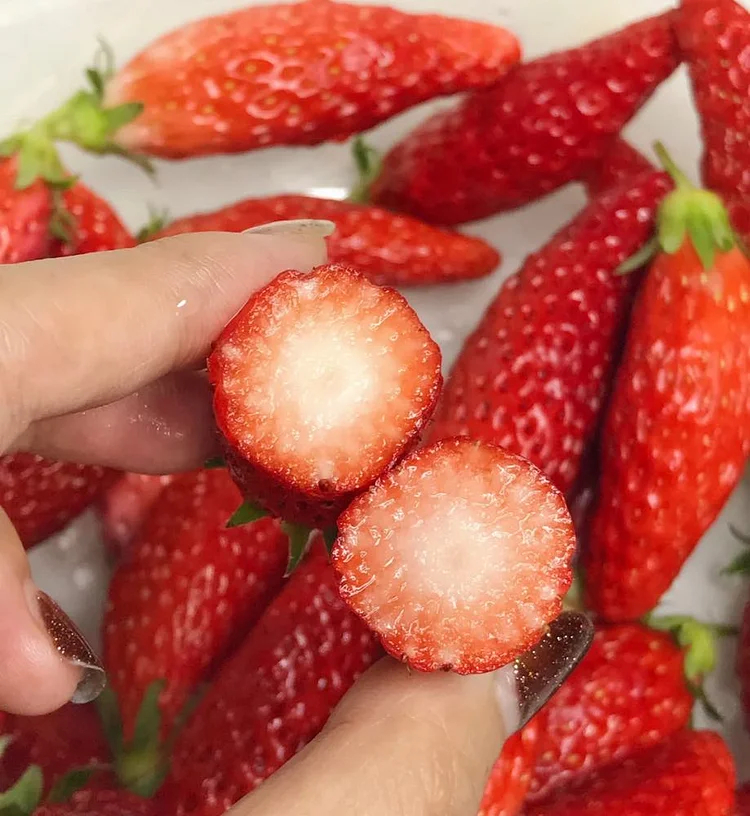 Supersüße Erdbeersamen in Chiliform🍓