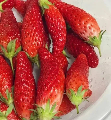 Supersüße Erdbeersamen in Chiliform🍓