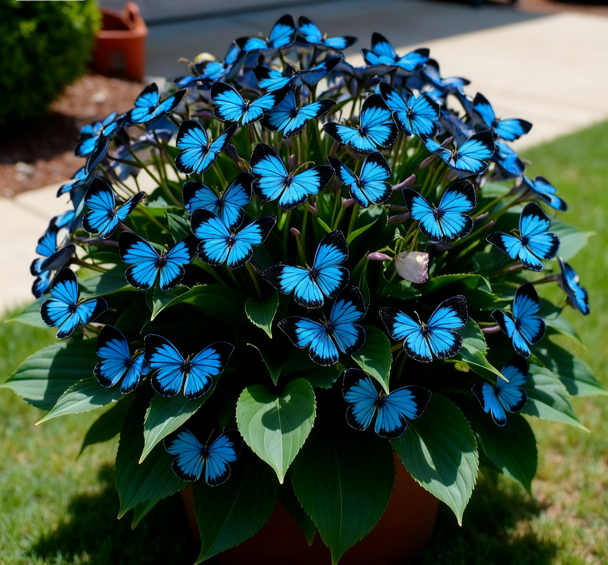 🦋🌈 Verspielte Schmetterlingsblumen – Ein Farbrausch in jedem Blütenblatt! 🌸