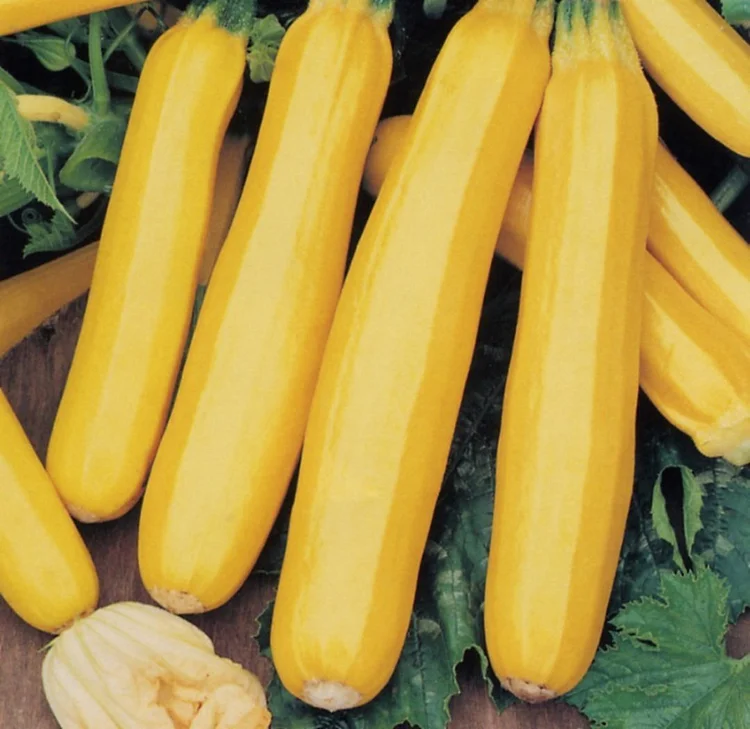 BANANEN ZUCCHINI SAMEN