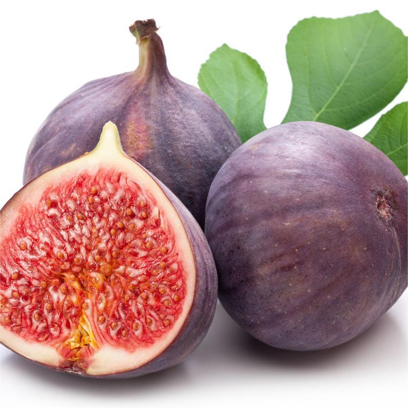 SweetHarvest Feigen-Samen